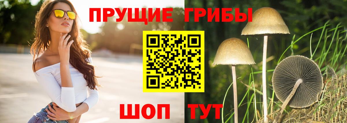 закладка  Вход с VPN  Лениногорск  Галлюциногенные грибы ЛСД 