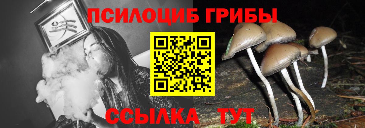 Галлюциногенные грибы Magic Shrooms Лениногорск
